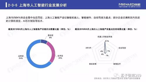 2019年人工智能行業(yè)現(xiàn)狀與發(fā)展趨勢報告 聚焦人工智能應(yīng)用軟件開發(fā)
